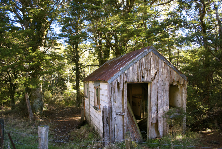 old-shed-that-needs-haul-away-service