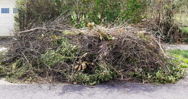 storm-debris-laying-on -the-street