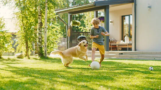 A boy and his dog playing soccer in the back yard free from debris