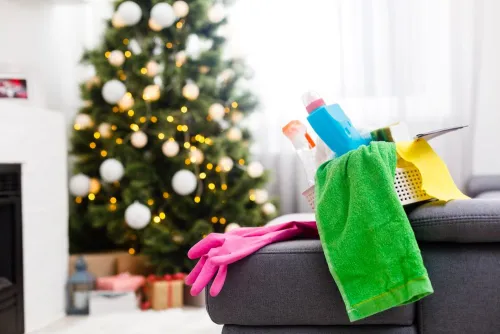 cleaning supplies sitting on the couch waiting to be used
