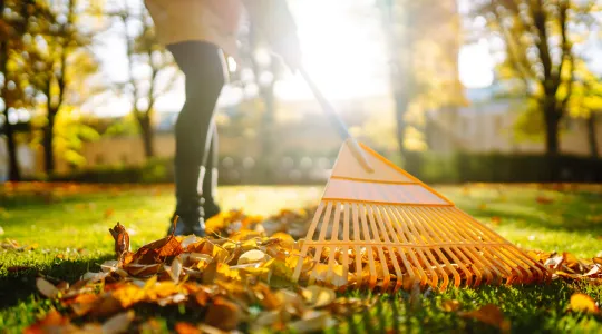 raking up leaves in the yard on a nice fall day