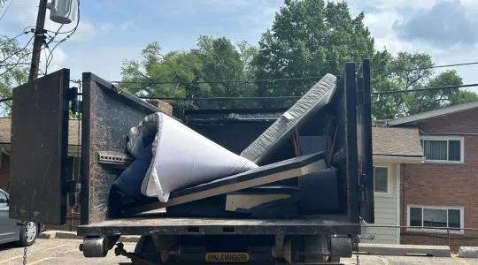Junk Removal container