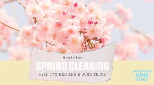 Cherry blossoms are here and it's time for spring cleaning!