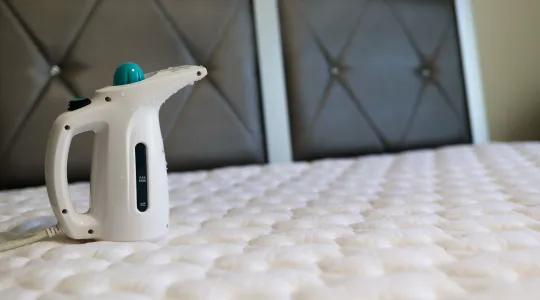 how-to-remove-bed-bugs-from-bed
