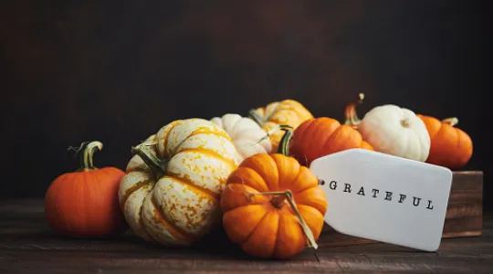 Assorted pumpkins with the word grateful